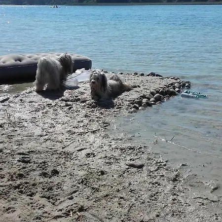 Wiejska Chata Posrod Lasow Hébergement de vacances *