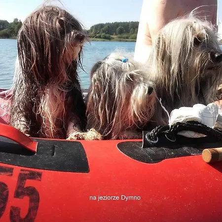 Hébergement de vacances Wiejska Chata Posrod Lasow