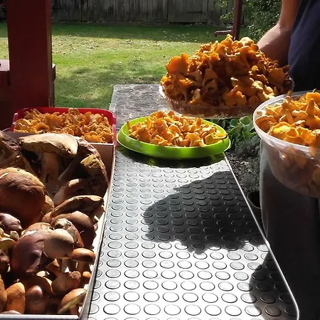 Hébergement de vacances Wiejska Chata Posrod Lasow Zaleze (Czluchow)